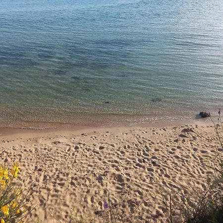 Vacation Katarina * ニン